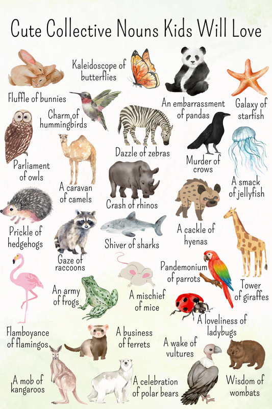 Cute Collective Nouns Kids Will Love