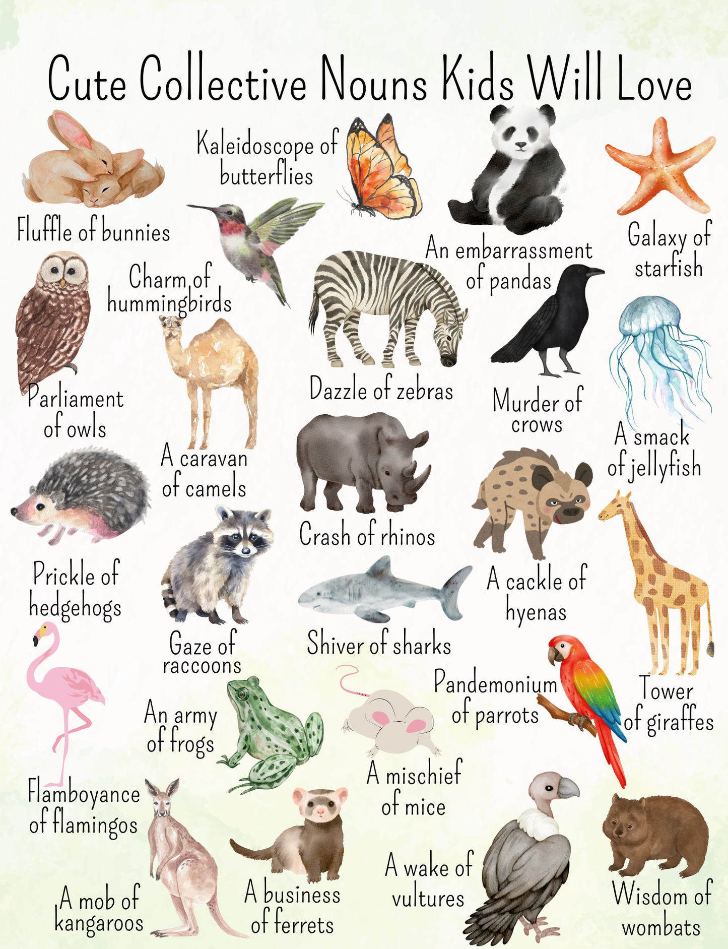 Cute Collective Nouns Kids Will Love