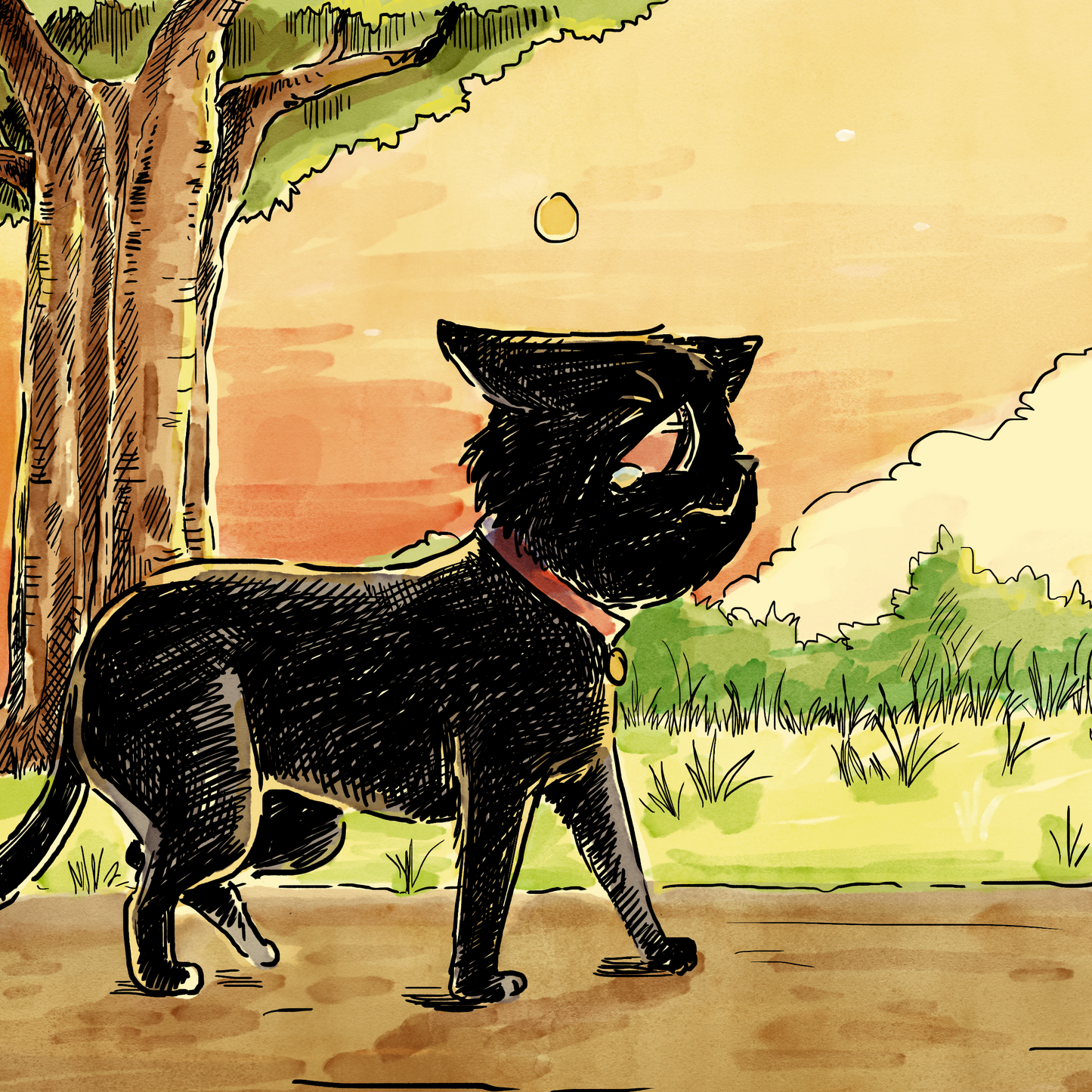 The Witch's Cat: A Children's Book About Self-Love, Acceptance, and Friendship (Perfect for Halloween)